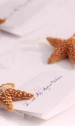 starfish-placecards