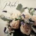 petals